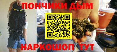 гидра Можга